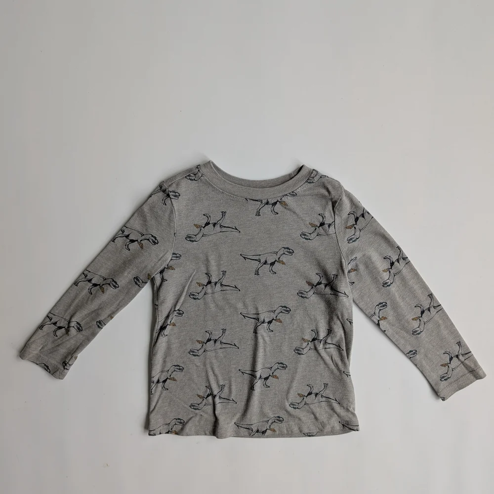 Dinosaur With Pepperoni Pizza Long Sleeve T-Shirt